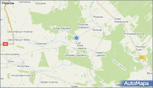 mapa Stare Litewniki, Stare Litewniki na mapie Targeo